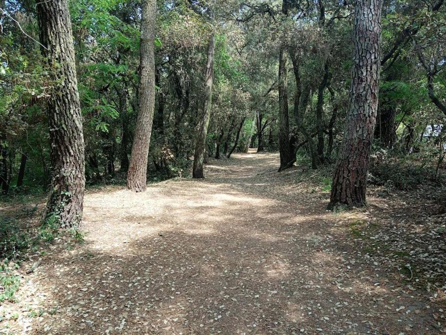 Studio Au Coeur Du Golf De Port Bourgenay, Proche Des Sables D'Olonne Talmont-Saint-Hilaire Eksteriør bilde