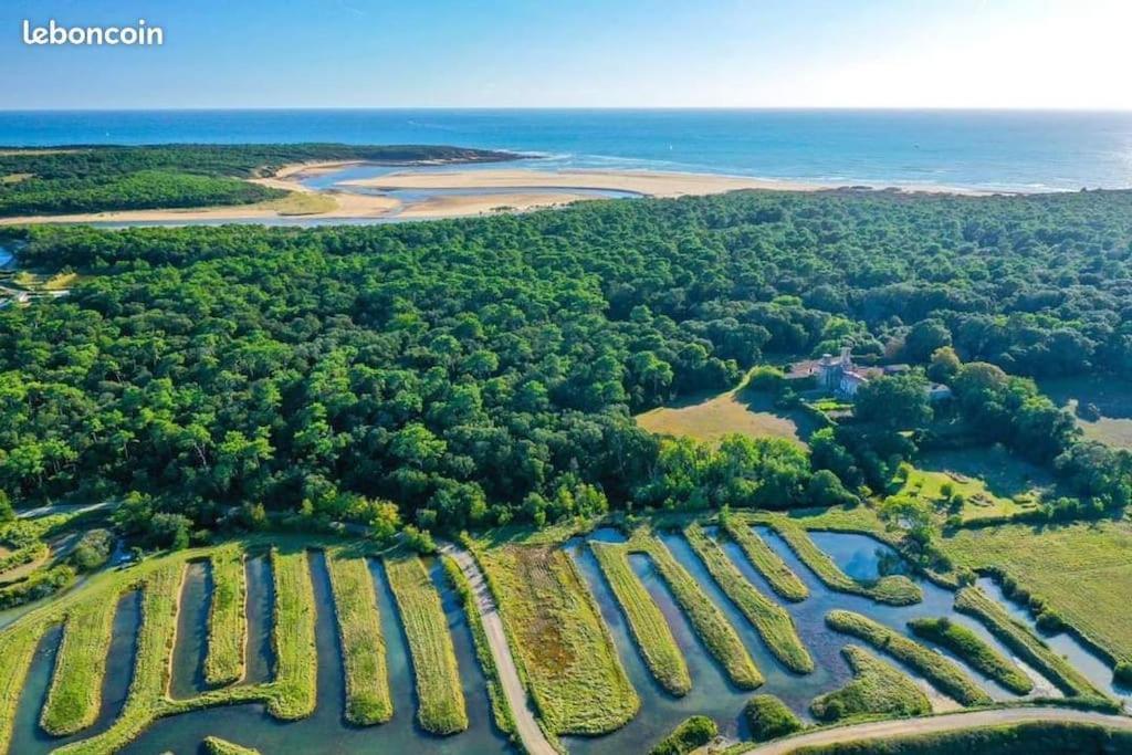 Studio Au Coeur Du Golf De Port Bourgenay, Proche Des Sables D'Olonne Talmont-Saint-Hilaire Eksteriør bilde